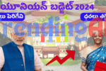 Union Budget 2024 Price Hikes And Reductions