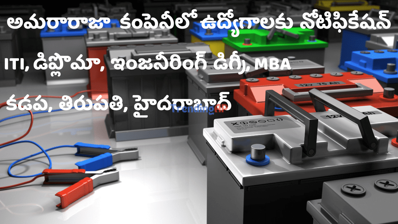 Amararaja Jobs Notiocation 2024