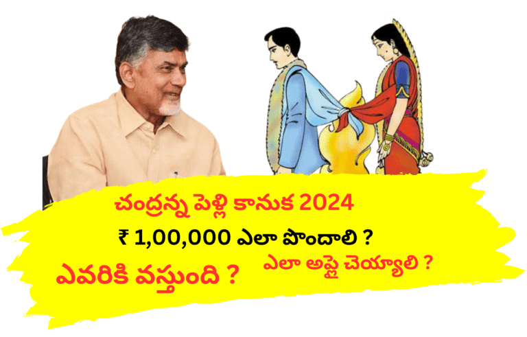 Chandranna Pelli Kanuka Scheme Updates 2024