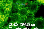 వైరస్ సోకితే 48 గంటల్లోనే కోమాలోకి
