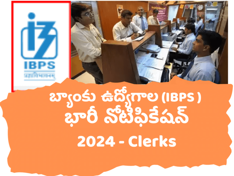 IBPS Clerk Jobs Details 2024