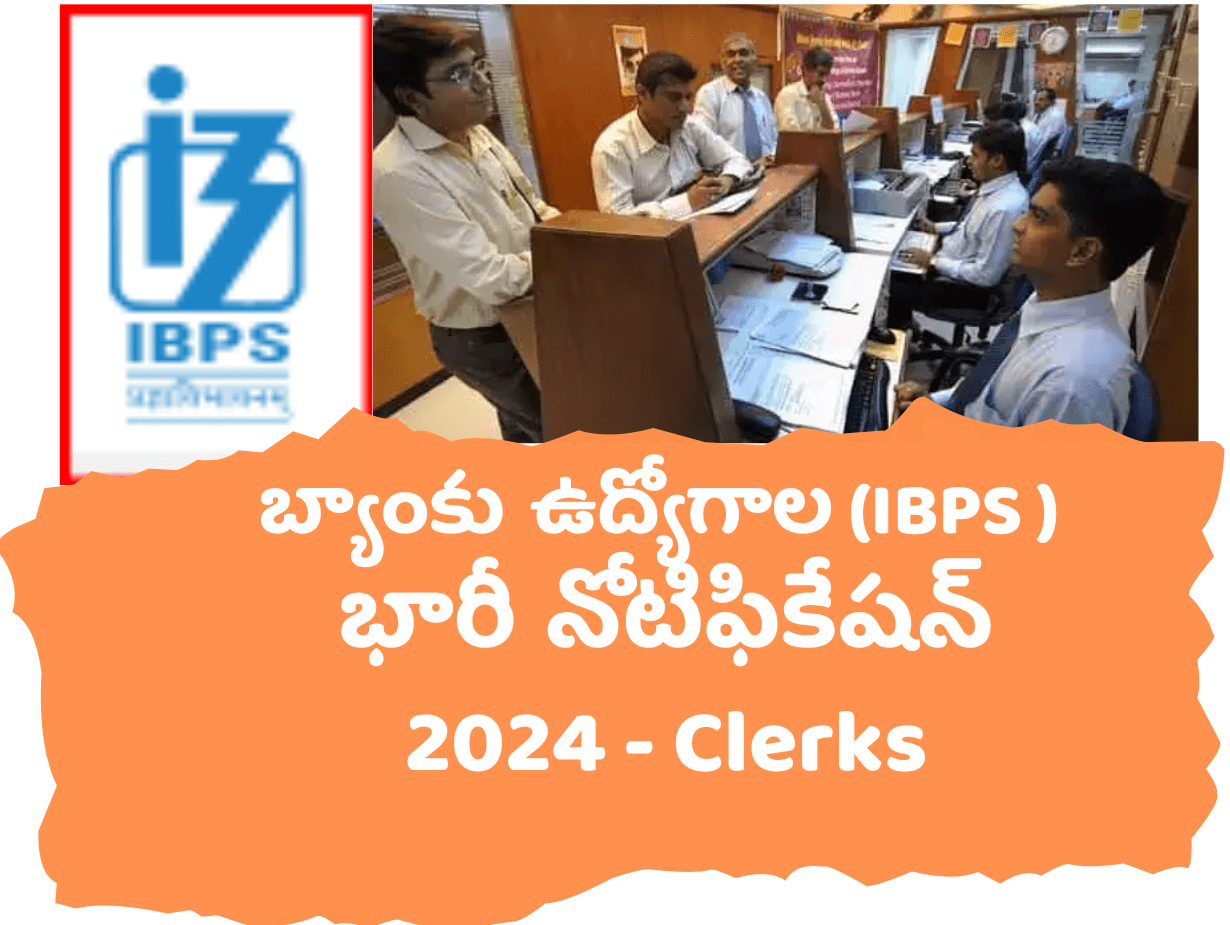 IBPS Clerk Jobs Details 2024