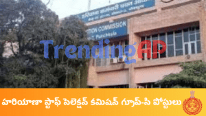 HSSC Group C Notification 2024