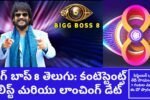 Bigg Boss Telugu 8 Contestants List Launch Date