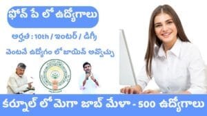 Kurnool Mega Job Mela Jobs In Phonepe