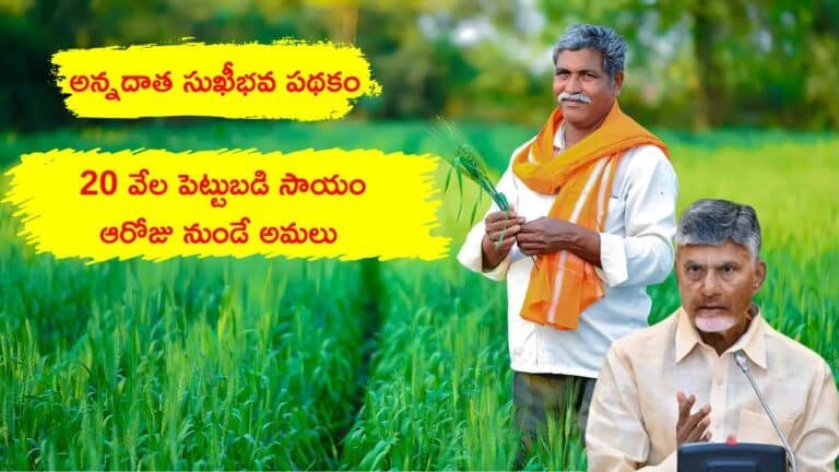 Annadata Sukhibhava Hopeful Ap Farmers 20000 Relief