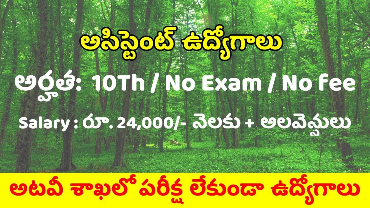 Forest Department Assistant Jobs No Written Test