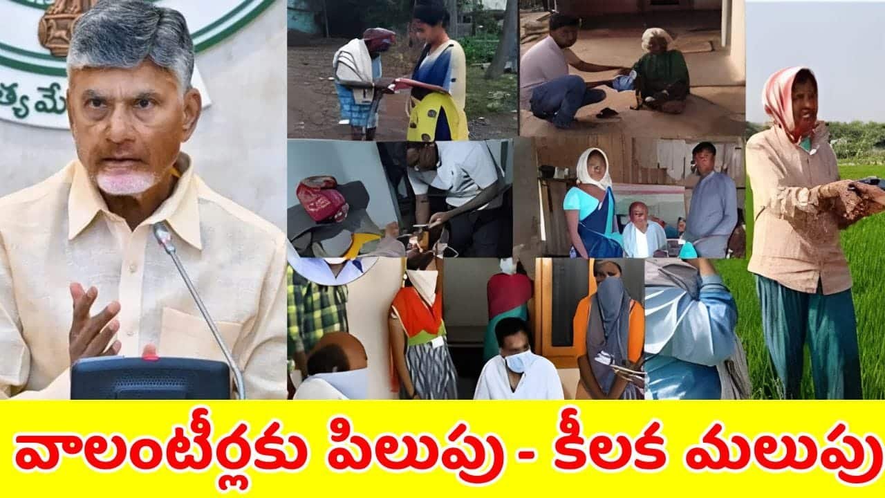 Government Makes Important Decision for Volunteers