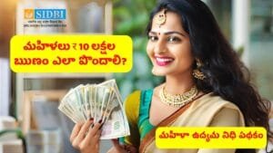 How to Get 10 Lakhs Loan with Mahila Udyam Nidhi