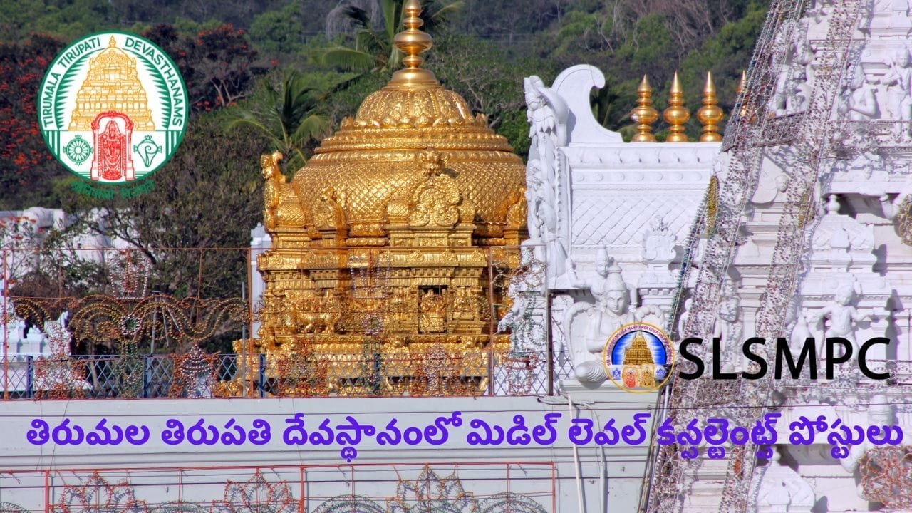 Middle Level consultant Jobs In TTD Apply Link Middle Level consultant Jobs In TTD Apply Link