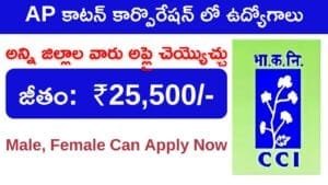 AP కాటన్ కార్పొరేషన్ లో ఉద్యోగాలు