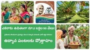 Farmers Will Get 25000 For Crops Check Full Details