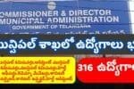 Telangana Municipal Department Jobs Notification