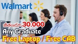 Walmart High Paying Customer Support Exciting Jobs