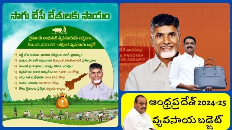 Andhra Pradesh Agriculture Budget 2024-25