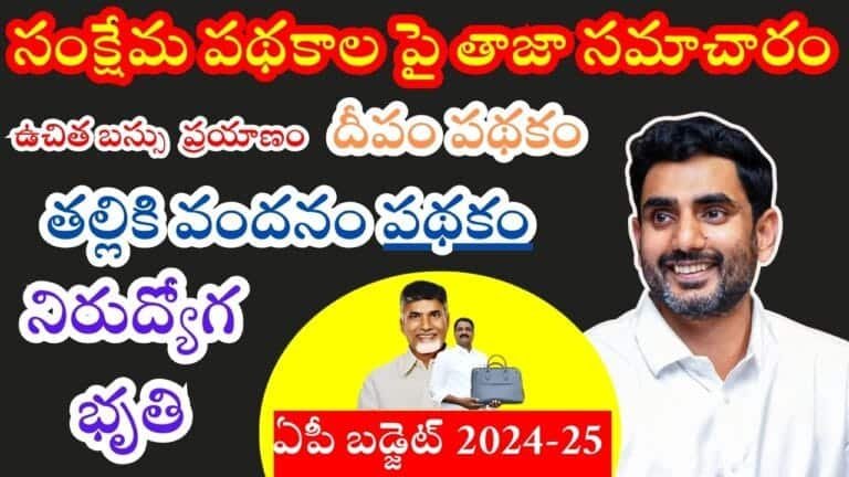 Funds For AP Welfare Schemes In Budget 2024-25