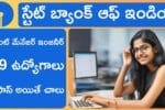 SBI Assistant Manager Engineer Recruitment 2024 - Trending AP