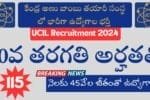 UCIL Recruitment 2024 Notification Out For 115 Posts