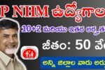 AP NHM Jobs 2024